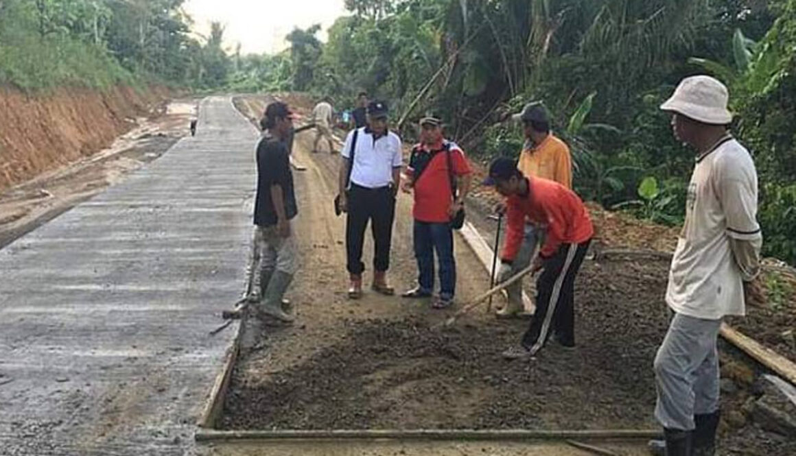 Ditargetkan Selesai 2024, Pembukaan Lahan Jalan Trans Mentawai Nyaris Tanpa Hambatan